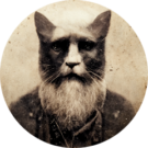 James Dawson Avatar
